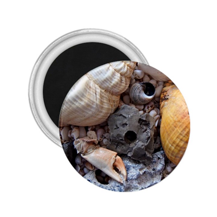 Beach Treasures 2.25  Button Magnet