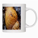 Beach Treasures White Coffee Mug Right