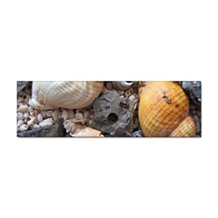 Beach Treasures Bumper Sticker