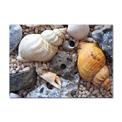 Beach Treasures A4 Sticker 10 Pack