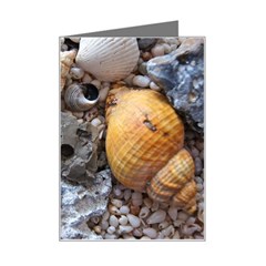 Beach Treasures Mini Greeting Card