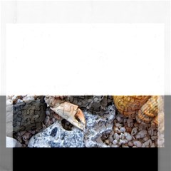 Beach Treasures Jigsaw Puzzle (rectangle) by StuffOrSomething