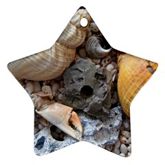 Beach Treasures Star Ornament (Two Sides)