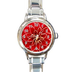 Red Dahila Round Italian Charm Watch