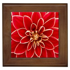 Red Dahila Framed Ceramic Tile