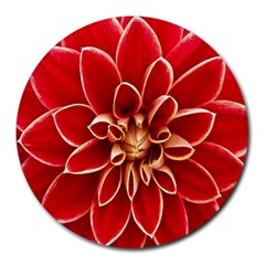 Red Dahila 8  Mouse Pad (Round)