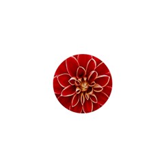 Red Dahila 1  Mini Button Magnet