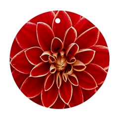 Red Dahila Round Ornament