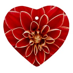 Red Dahila Heart Ornament