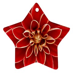 Red Dahila Star Ornament