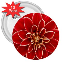 Red Dahila 3  Button (10 pack)