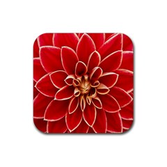 Red Dahila Drink Coaster (Square)