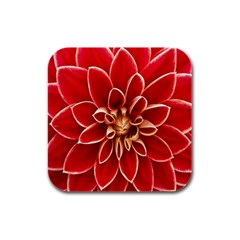 Red Dahila Drink Coasters 4 Pack (Square)