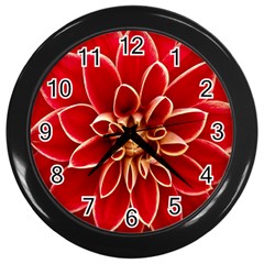 Red Dahila Wall Clock (Black)