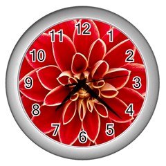 Red Dahila Wall Clock (Silver)