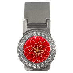 Red Dahila Money Clip (CZ)