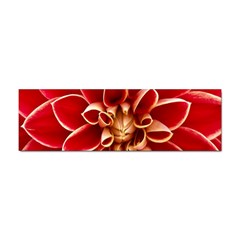 Red Dahila Bumper Sticker