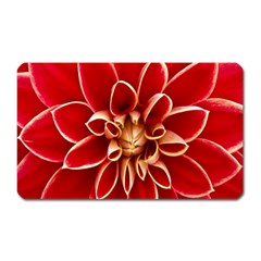 Red Dahila Magnet (Rectangular)