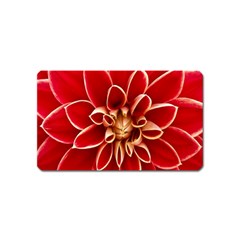 Red Dahila Magnet (Name Card)