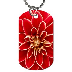 Red Dahila Dog Tag (One Sided)