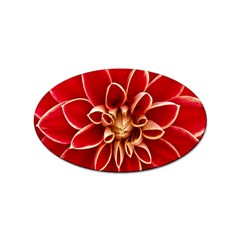 Red Dahila Sticker 100 Pack (Oval)