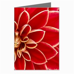 Red Dahila Greeting Card