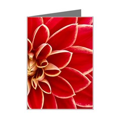 Red Dahila Mini Greeting Card