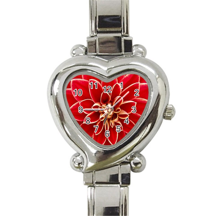 Red Dahila Heart Italian Charm Watch 