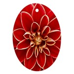 Red Dahila Oval Ornament (Two Sides) Front