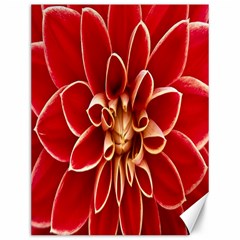 Red Dahila Canvas 12  x 16  (Unframed)