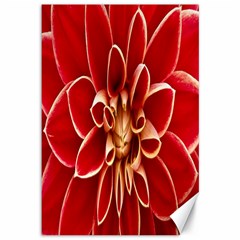 Red Dahila Canvas 12  x 18  (Unframed)