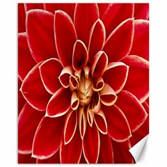 Red Dahila Canvas 16  x 20  (Unframed)