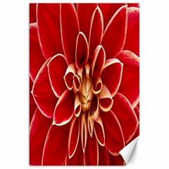 Red Dahila Canvas 20  x 30  (Unframed)