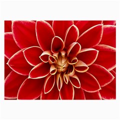 Red Dahila Glasses Cloth (Large)