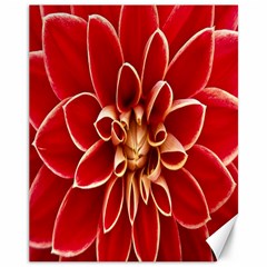 Red Dahila Canvas 11  x 14  (Unframed)