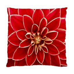 Red Dahila Cushion Case (Single Sided) 