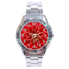 Red Dahila Stainless Steel Watch