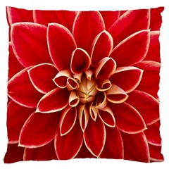 Red Dahila Large Cushion Case (Single Sided) 