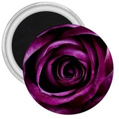 Deep Purple Rose 3  Button Magnet