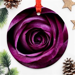 Deep Purple Rose Round Ornament by Colorfulart23