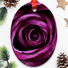 Deep Purple Rose Oval Ornament