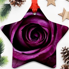 Deep Purple Rose Star Ornament