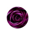 Deep Purple Rose Drink Coaster (Round) Front