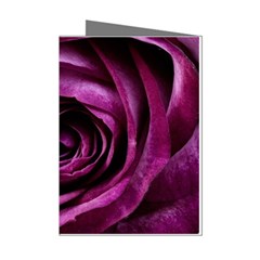 Deep Purple Rose Mini Greeting Card (8 Pack)