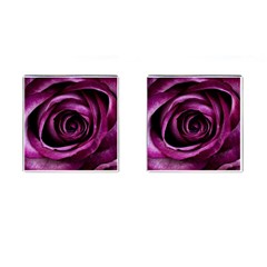 Deep Purple Rose Cufflinks (square) by Colorfulart23