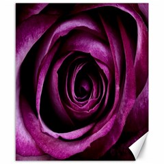 Deep Purple Rose Canvas 8  x 10  (Unframed)