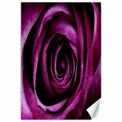 Deep Purple Rose Canvas 12  x 18  (Unframed)