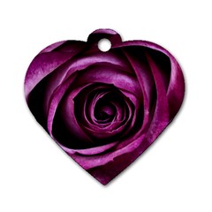 Deep Purple Rose Dog Tag Heart (one Sided)  by Colorfulart23