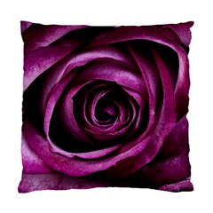 Deep Purple Rose Cushion Case (two Sided)  by Colorfulart23