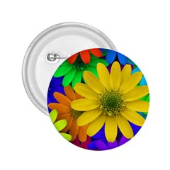 Gerbera Daisies 2 25  Button